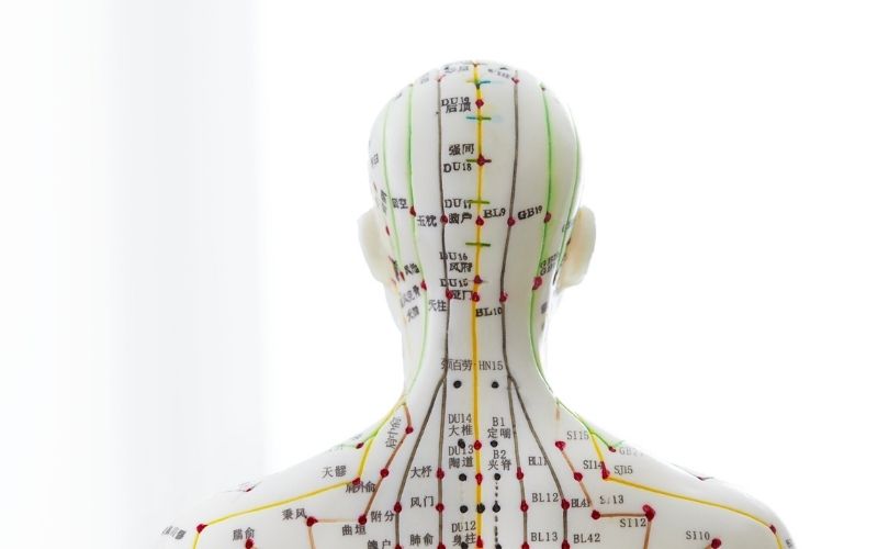 acupuncture chart